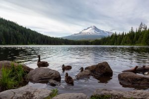 exploring Crater Lake